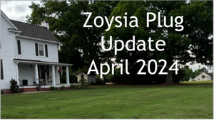 Spring update to our El Toro Zoysia Plug project