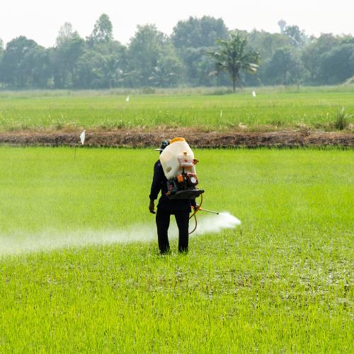 Herbicides, Pesticides and Fungicides