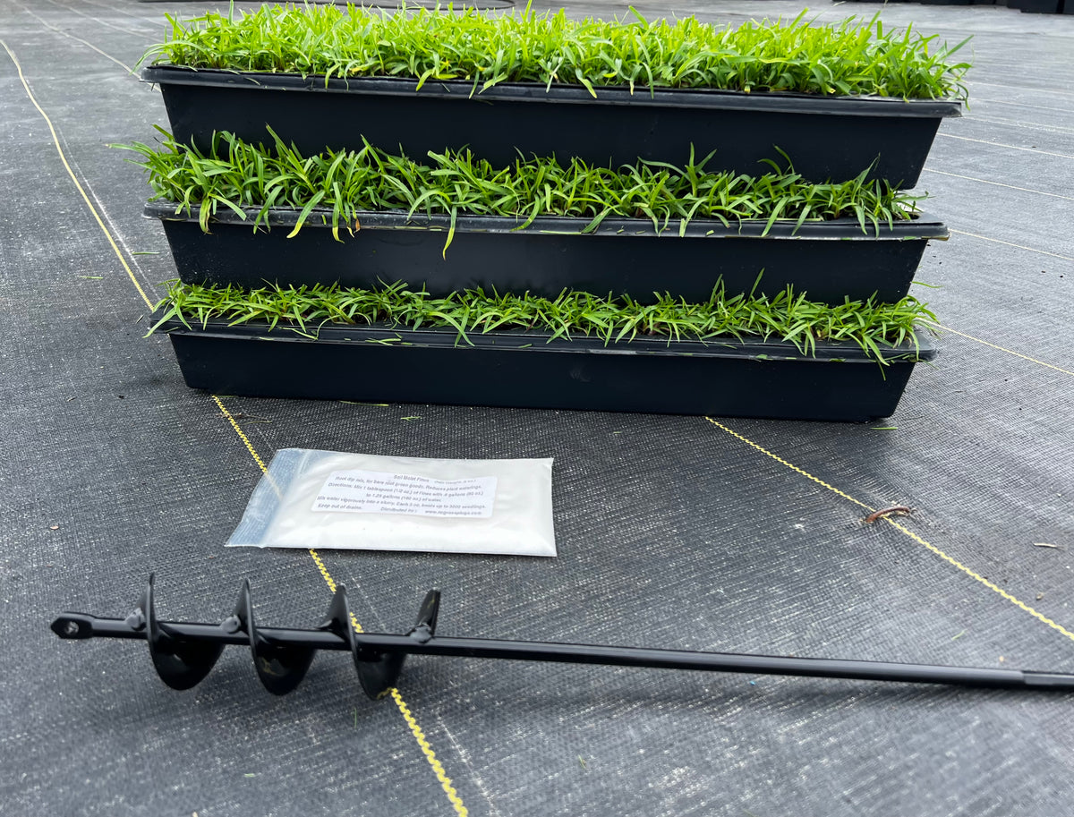 BUNDLE Centipede grass plugs (50 cell trays), Auger, Soil Moist NC