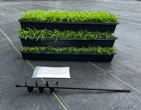 BUNDLE - Centipede grass plugs (50 cell trays), Auger, Soil Moist