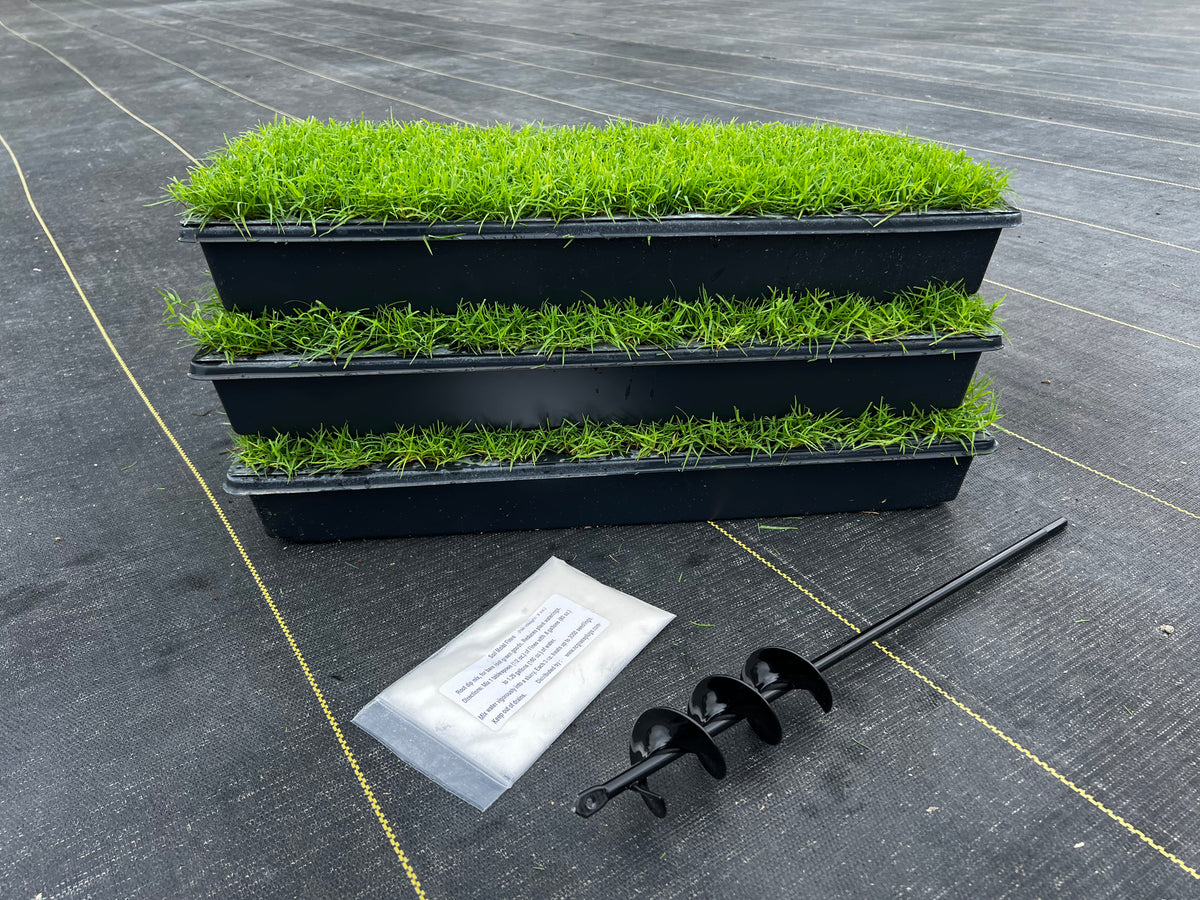 BUNDLE Certified Rio Bermuda Plugs (50 cell trays), AUGER, Soil Mois