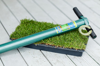 El Toro Zoysia Plugs