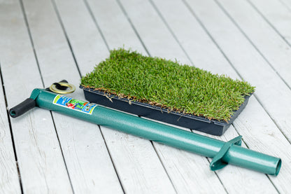 El Toro Zoysia Plugs