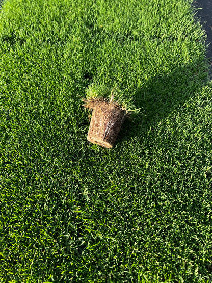 IronCutter Hybrid Bermuda Plugs