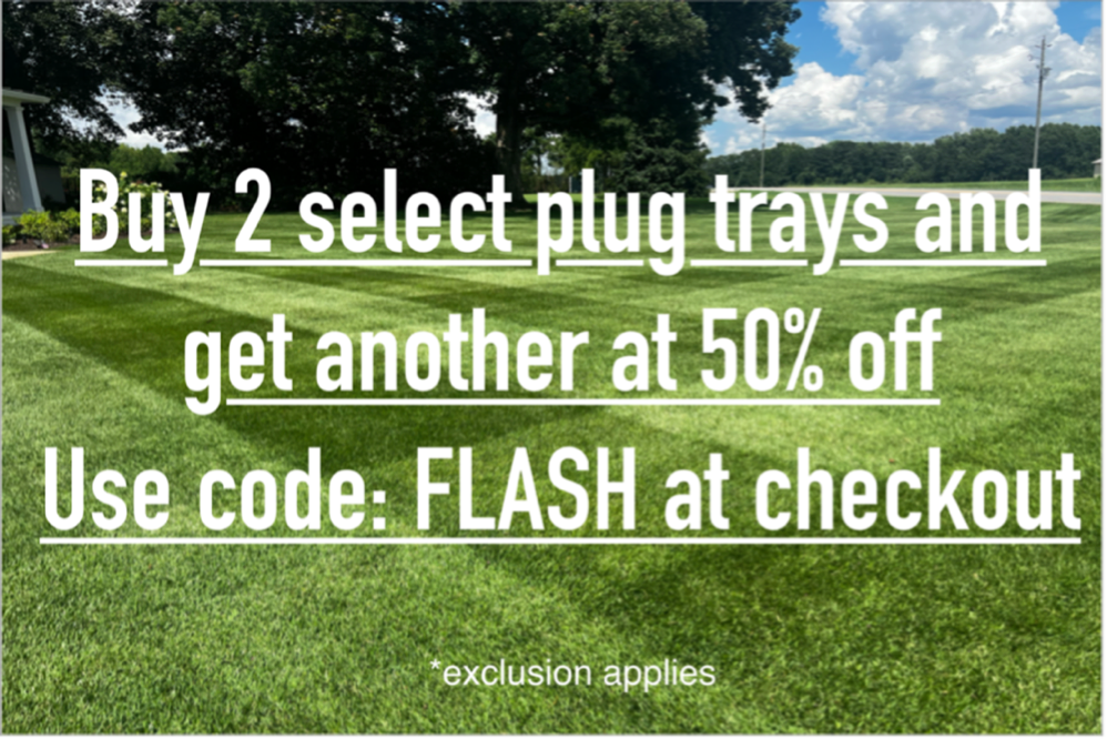 Zoysia, Centipede and Bermuda Plugs NC Grass Plugs