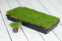 IronCutter Hybrid Bermuda Plugs