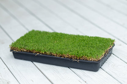 IronCutter Hybrid Bermuda Plugs