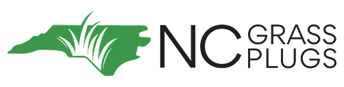 NC Grass Plugs
